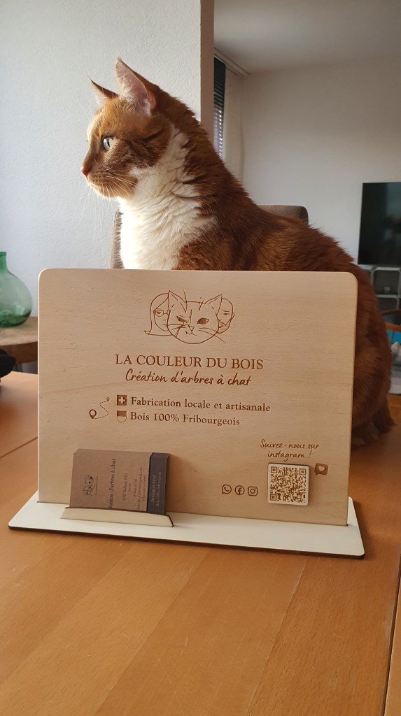 chat mascotte
chat roux
chat roux et blanc
chat gâté
chat heureux
ronronner