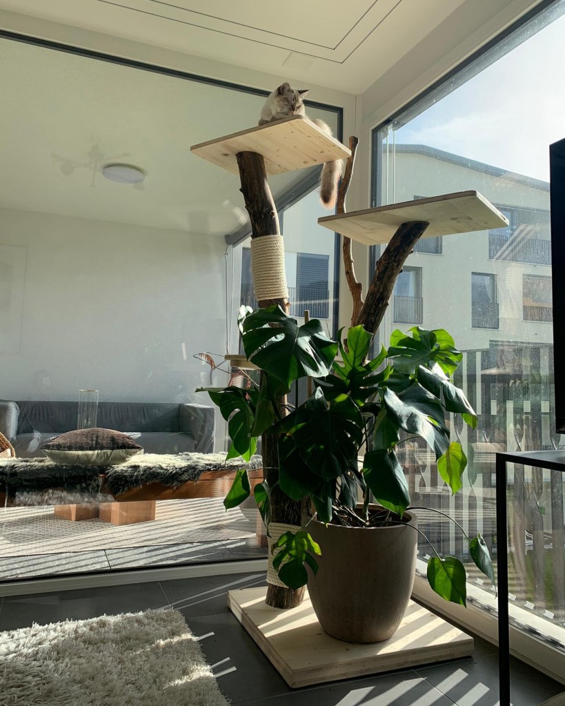 économie circulaire
écodesign
écologie
recyclage