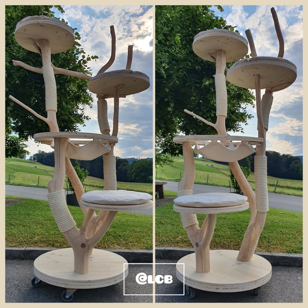 magie du chat
numéro un pour les chats
meilleurs arbres à chat