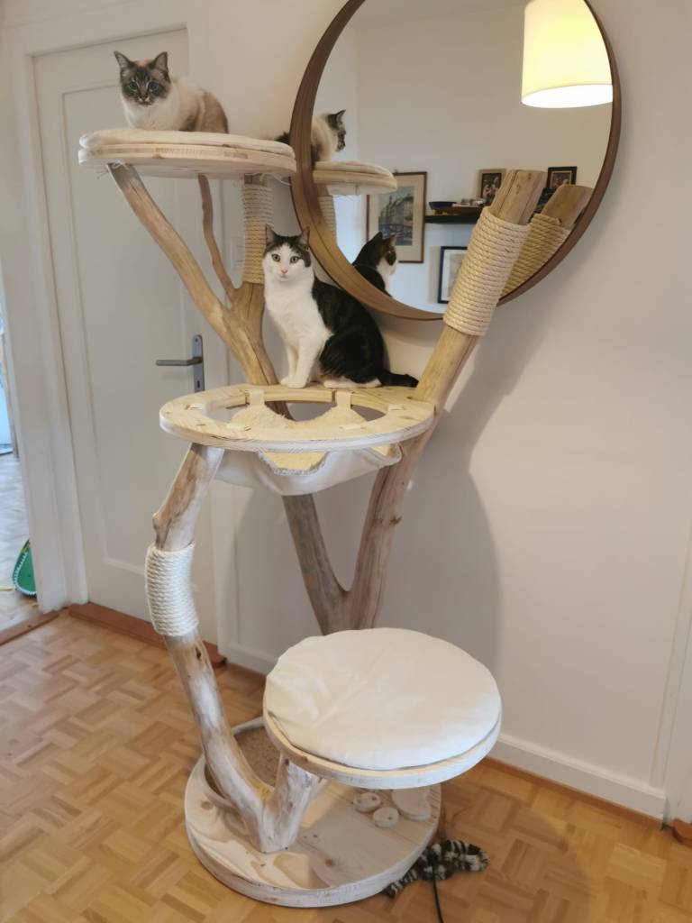 Arbre en bois massif
Design en bois
Décoration en bois